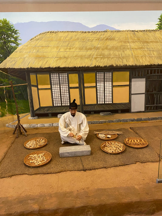 We finally made it to Geumsan, South Korea—the legendary home of Korean Ginseng! 🇰🇷✈️