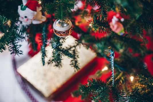 Spend a warm and cozy Christmas with Kozy House Cabramatta