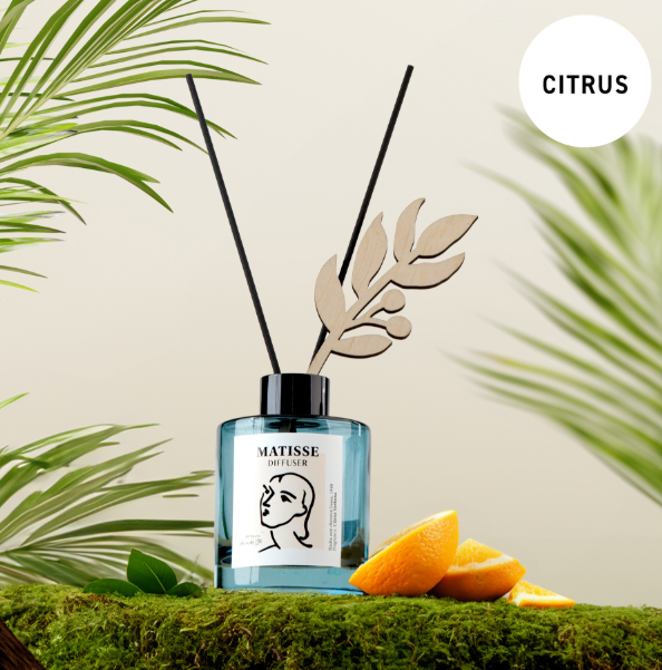 Henri Matisse Fragrance Diffuser 120ml