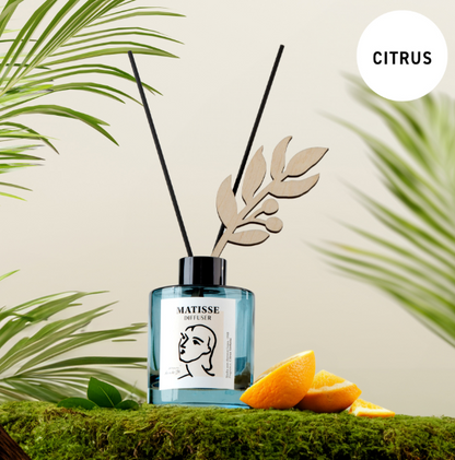 Henri Matisse Fragrance Diffuser 120ml