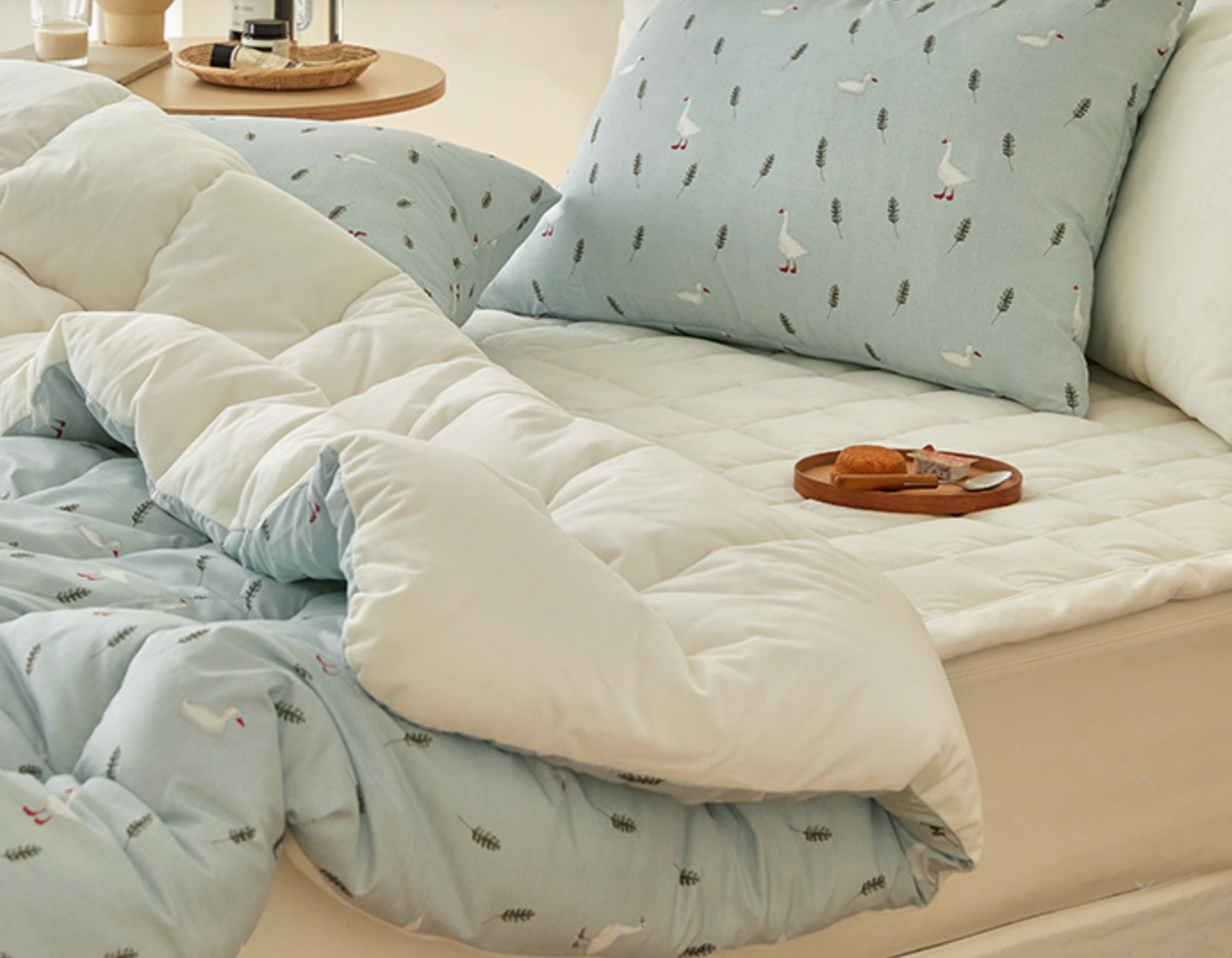 [Kozy House] Dust Free Soft Semi Microfibre Winter Blanket