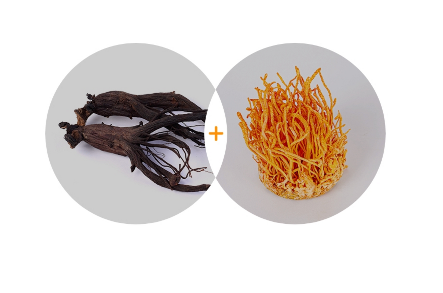 [Achimmadang] Korean Black Red Ginseng & Cordyceps Paste 500g x 2 Bottles