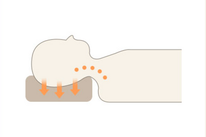 [Kozy House] Cervical Pillow 50 x 70 cm