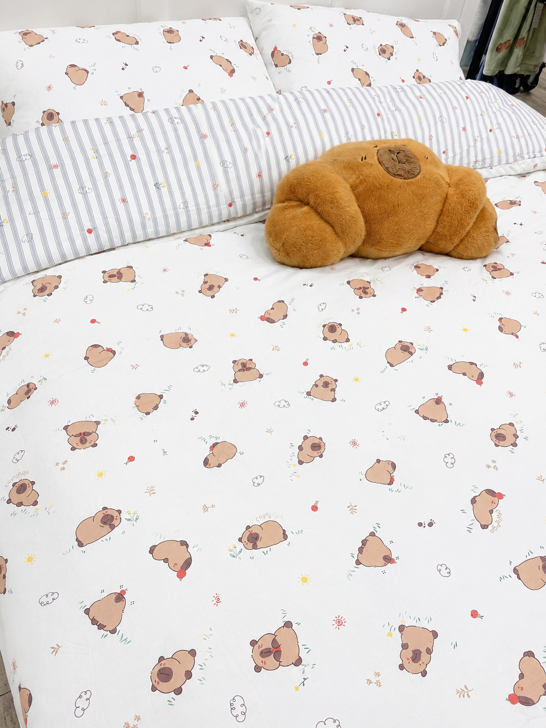 [Kozy House] Capybara Modal 100% Korean Blanket