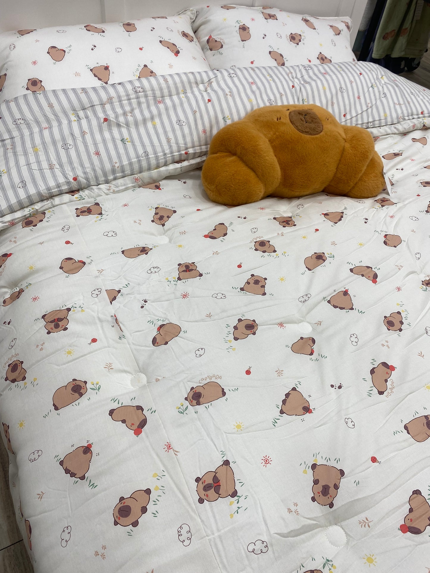[Kozy House] Capybara Modal 100% Korean Blanket