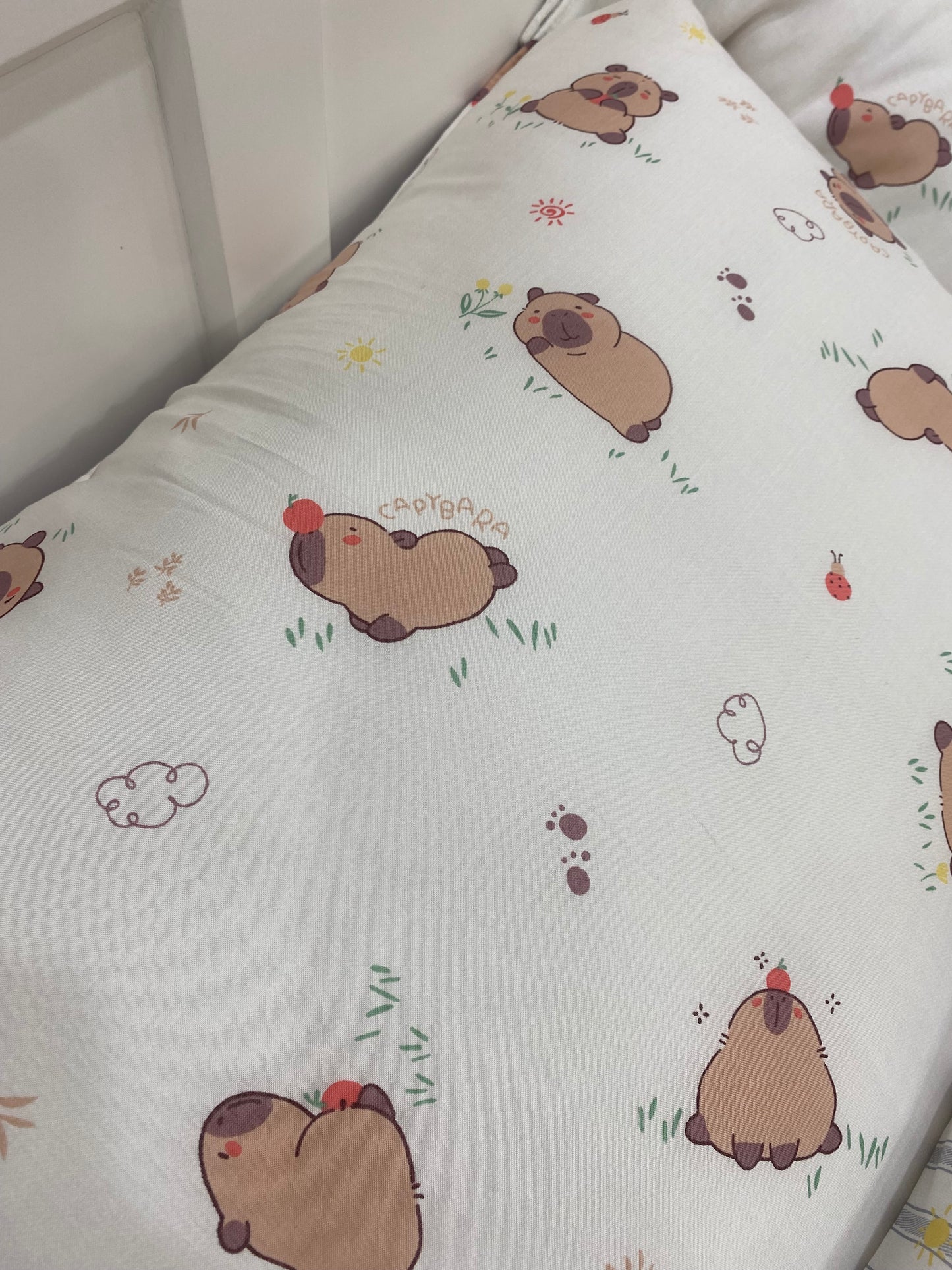 [Kozy House] Capybara Modal 100% Korean Blanket