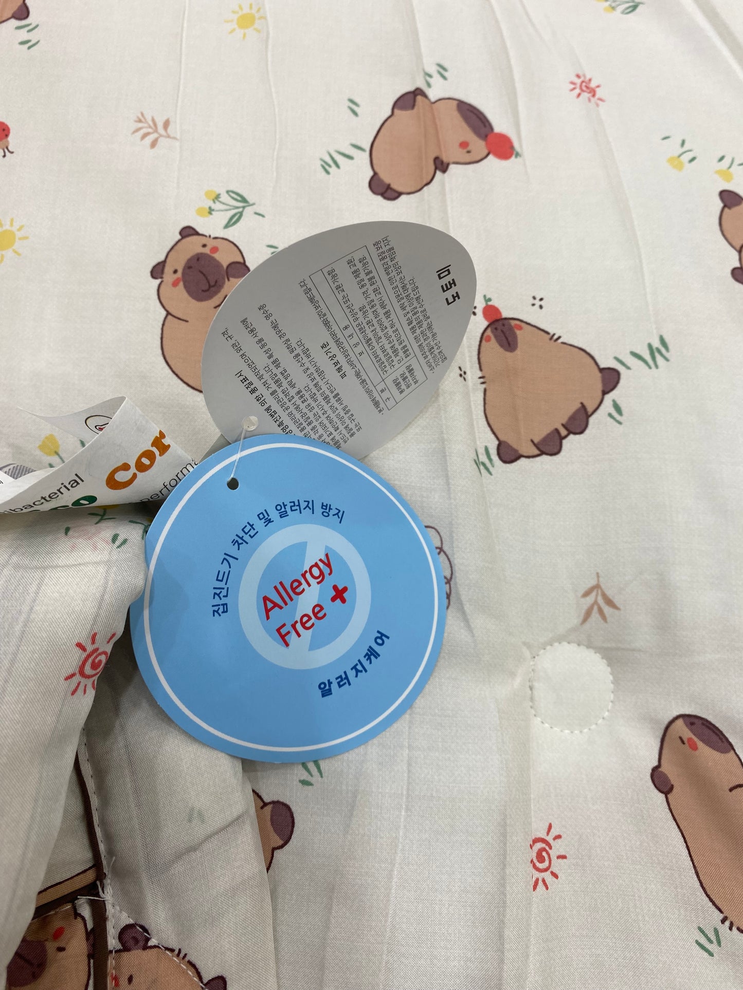 [Kozy House] Capybara Modal 100% Korean Blanket
