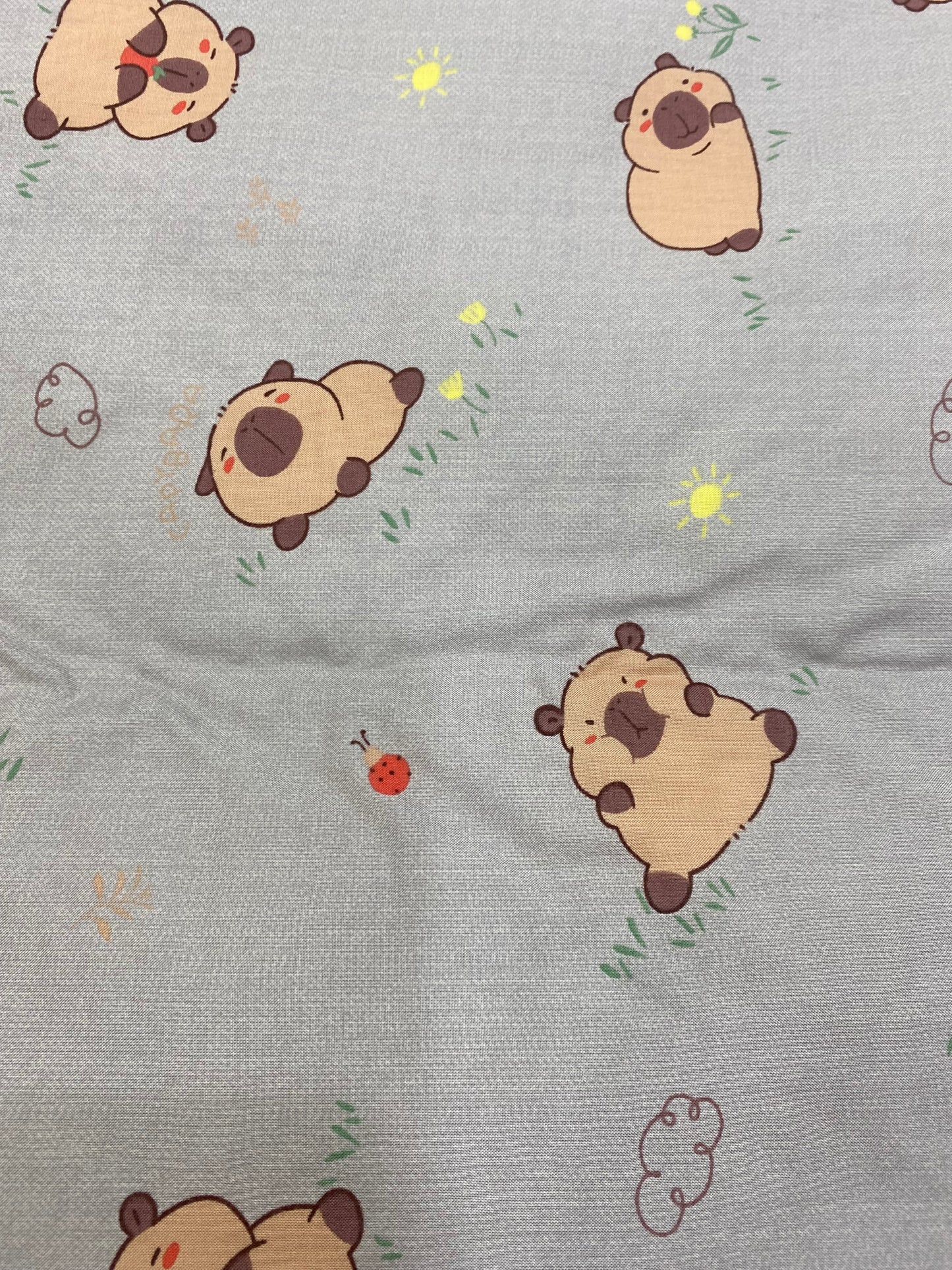 [Kozy House] Capybara Modal 100% Korean Blanket