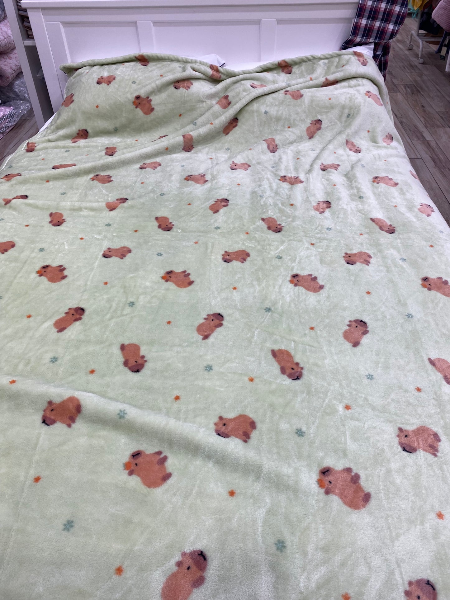[Kozy House] Capybara Mink Microfiber Blanket