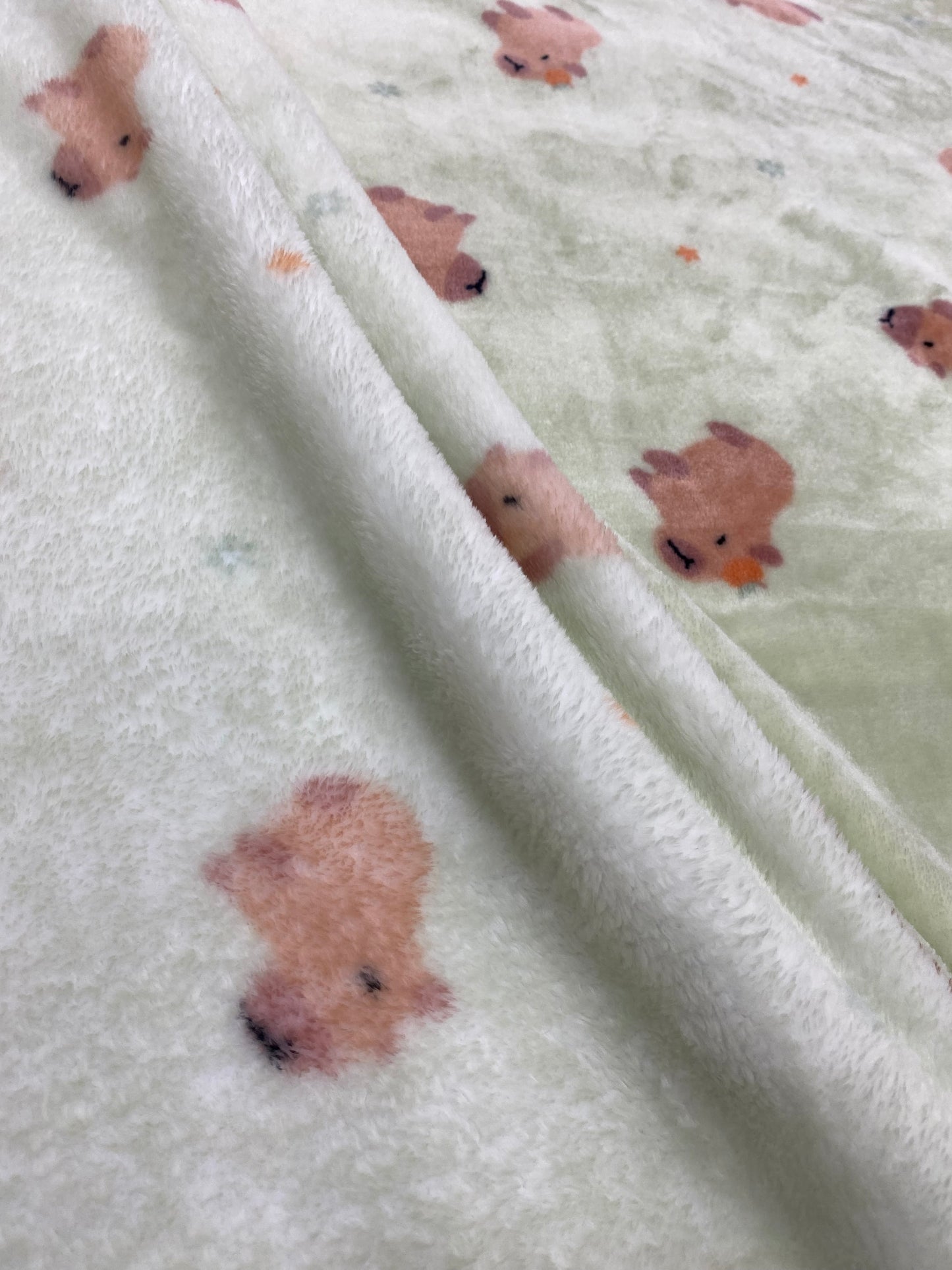 [Kozy House] Capybara Mink Microfiber Blanket